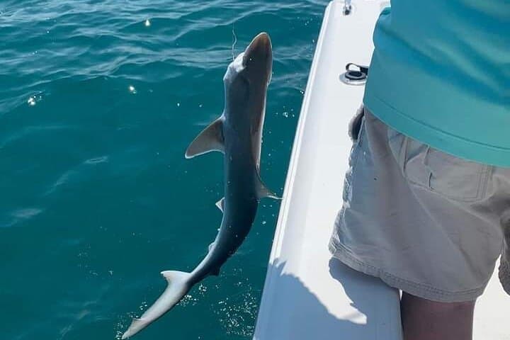 Private 6-Hour Sarasota Fishing Tour with Master Captain Bill photo 6