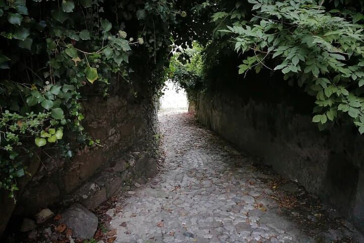 Twilight Hiking in Sintra: Guided Sunset Walk with a Local Writer photo 3