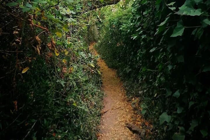 Twilight Hiking in Sintra: Guided Sunset Walk with a Local Writer photo 6