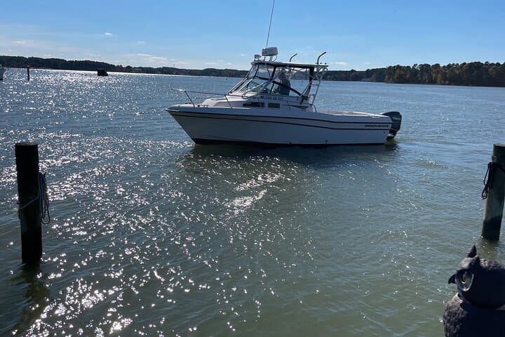 Private Sunset Cruise Aboard Geronimo in Washington DC — Yards Marina Evening Cruise photo 4