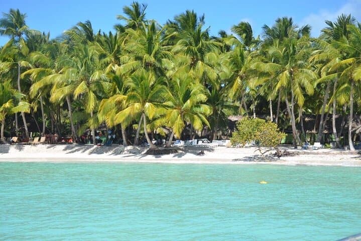 Saona Island Catamaran & Speedboat Day Trip from Punta Cana photo 6