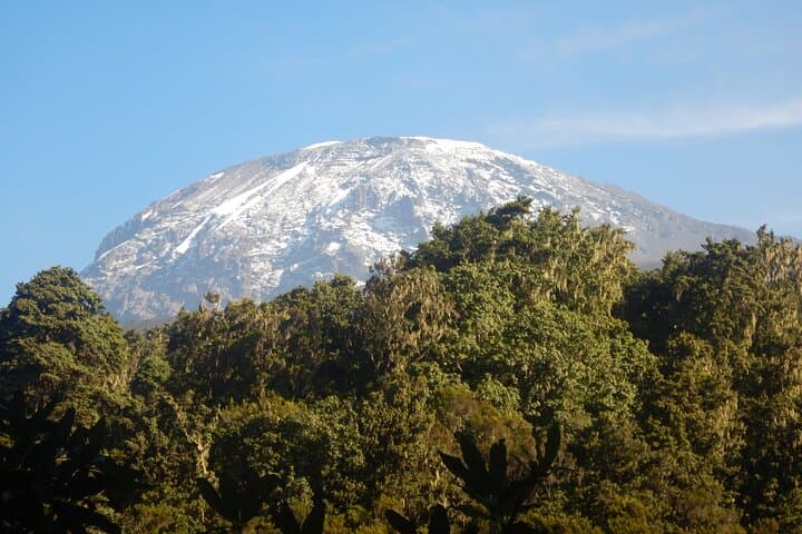 Conquer Kilimanjaro in 6 Days: Machame Route Guide and What to Expect photo 6