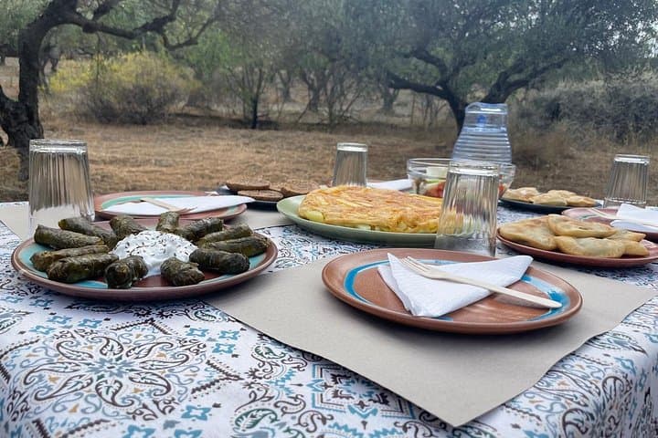 Heraklion Olive and Dragon Fruit Farm Tour with Cretan Farmers Brunch photo 1