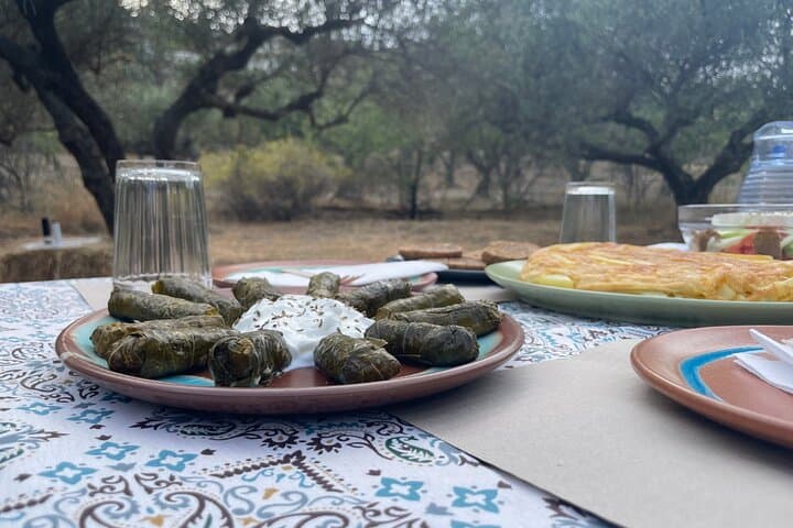 Heraklion Olive and Dragon Fruit Farm Tour with Cretan Farmers Brunch photo 4