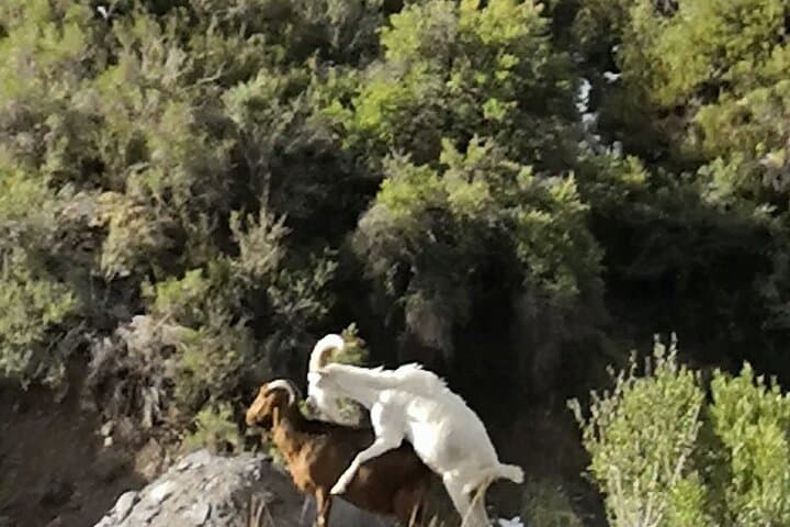 Maipo Canyon Private Guided Tour from Santiago with Winery Visit photo 5