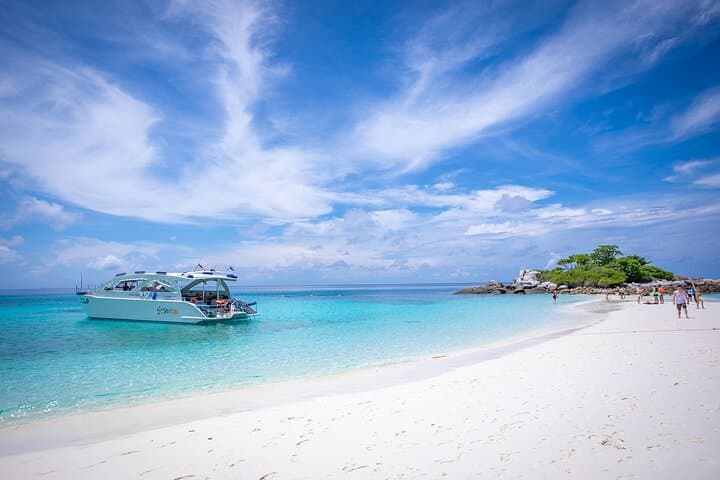 Phuket Dolphin Quest: Racha & Maiton Island Speedboat Day Trip photo 5