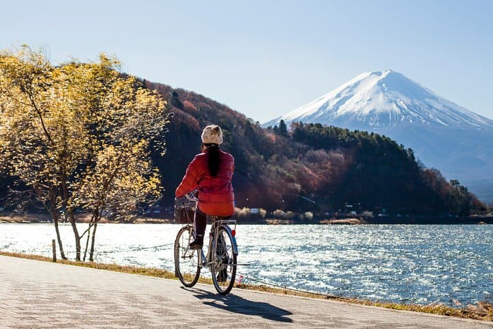 Private Day Tour to Mount Fuji & Lake Kawaguchiko from Tokyo photo 3