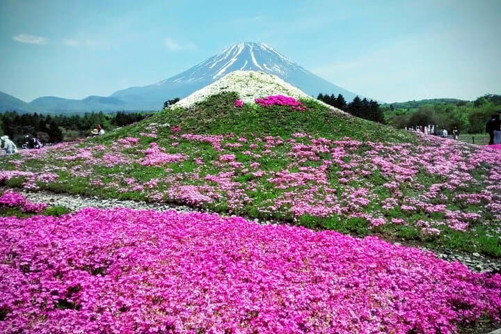 Private Day Tour to Mount Fuji & Lake Kawaguchiko from Tokyo photo 4