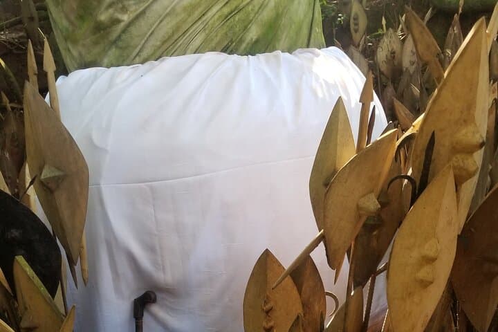 Walking with Kings: Full-Day Buganda Traditions, Kasubi Tombs & Kabaka's Lake Tour photo 5
