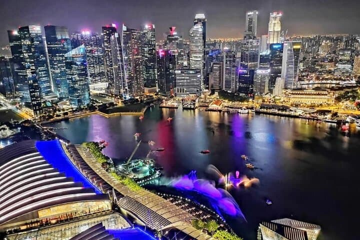 Marina Bay Sands SkyPark Observation Deck — See Singapore from 200m photo 5