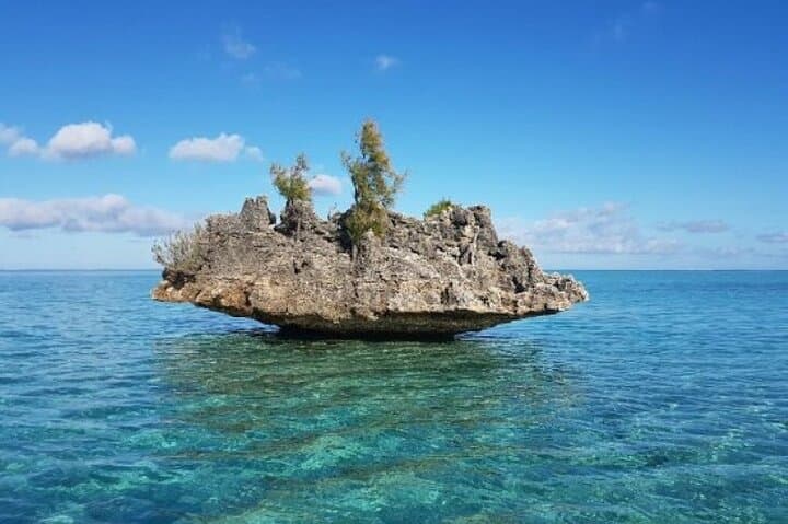 Dolphin Quest & Snorkel to Crystal Rock — Shared Boat Tour from Le Morne