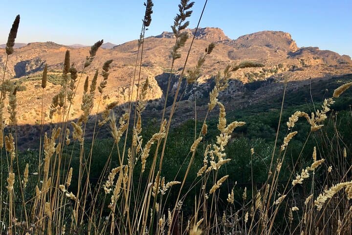 Therisso Gorge & Cretan Culinary Tour: Wild Sights and Farm-to-Table Dining photo 6