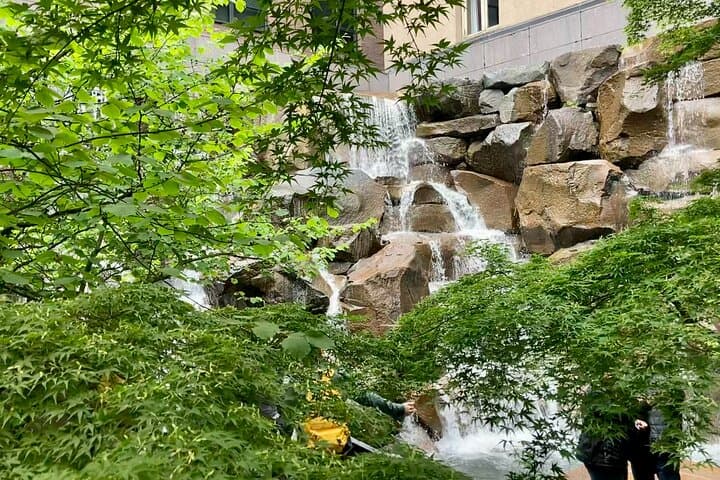 Seattle Walking Tour: Pioneer Square to Seattle Center — 2.5-Mile Introduction photo 5