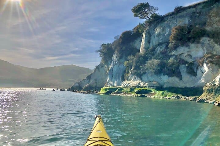 Tomales Bay Morning Kayak Tour — Point Reyes Wildlife & Shoreline photo 3