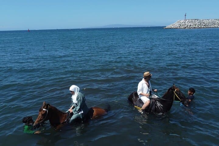 Bali Beach Horse Ride & Ocean Swim — 1 Hour Coastal Ride at Padang Galak photo 4