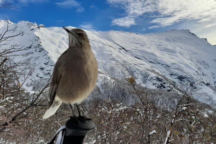 Private Winter Trekking in Bariloche — Snowshoe the Nahuel Huapi Andes photo 5