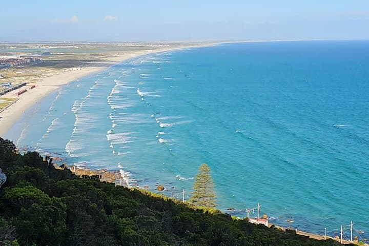 Full-Day Table Mountain, Cape Point & Boulders Beach Penguin Tour from Cape Town photo 4