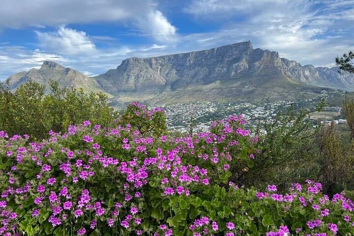 Full-Day Table Mountain, Cape Point & Boulders Beach Penguin Tour from Cape Town photo 2