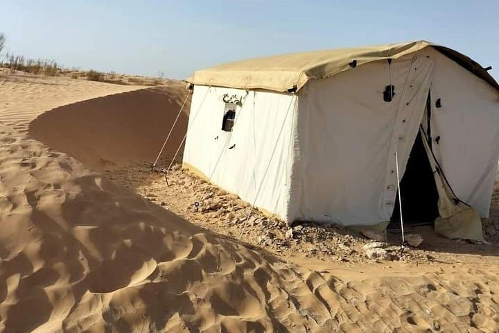 5-Day Southern Tunisia Sahara Adventure from Djerba — Oases, Ksars & Desert Camp photo 2