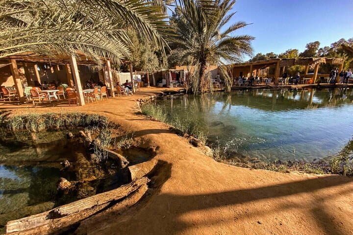 Desert Night & Berber Villages: Ksar Ghilane, Matmata & Star Wars Sites from Djerba photo 2