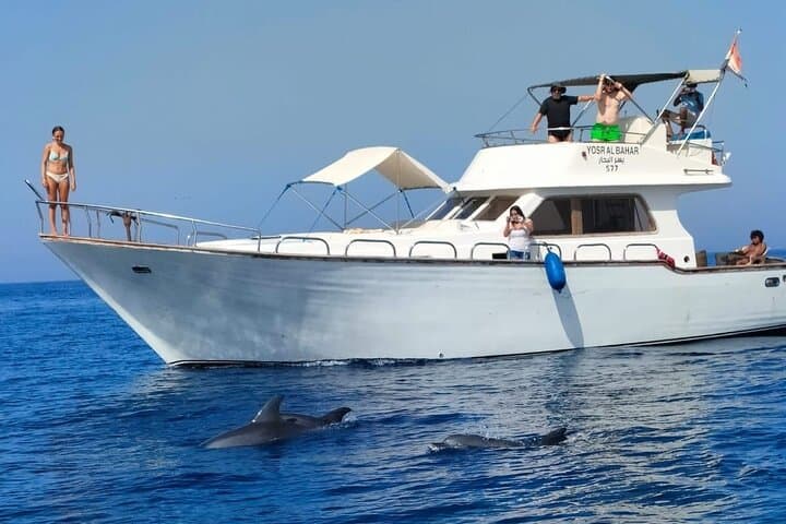 Hurghada Private Full-Day Snorkeling Charter to Dolphin House & Giftun Islands photo 2