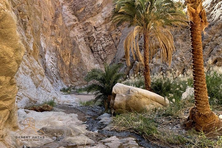 Discover NEOM & Tabuk: 3-Day Hisma Desert, Wadi Al Disah and Red Sea Adventure photo 2
