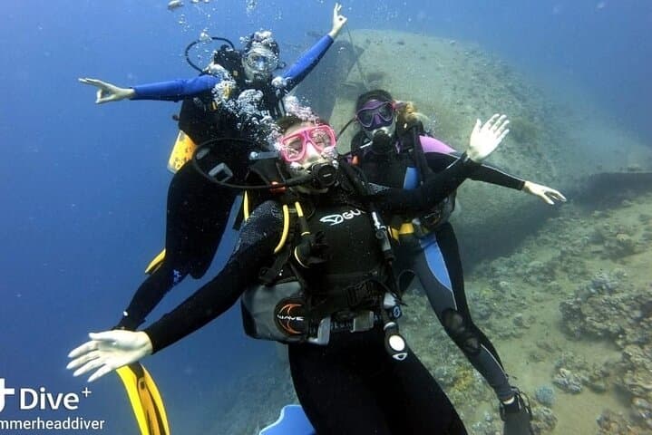 Aqaba Red Sea: Two Dives Plus a Night Dive Shore Adventure photo 4