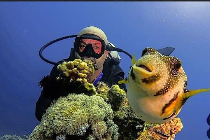 Aqaba Red Sea: Two Dives Plus a Night Dive Shore Adventure photo 5
