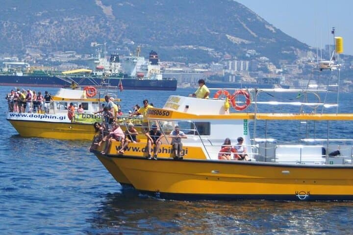 Gibraltar Dolphin-Watching Excursion from Malaga — Boat Tour & Gibraltar Visit photo 4
