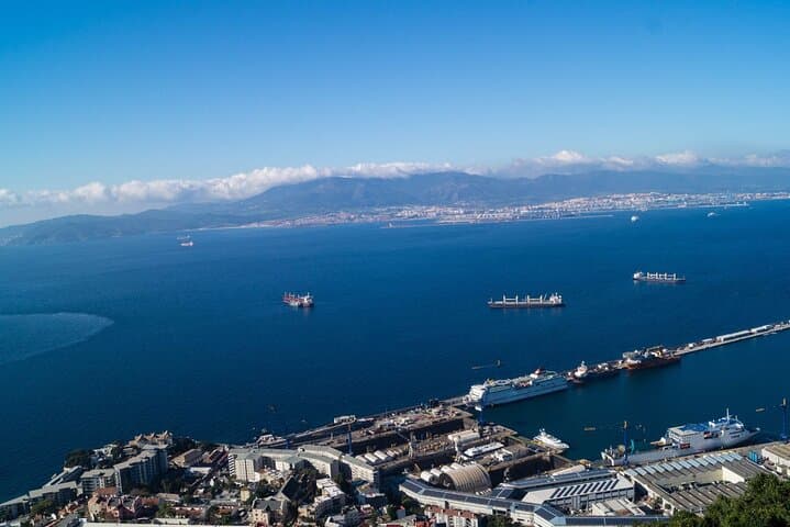 Gibraltar Dolphin-Watching Excursion from Malaga — Boat Tour & Gibraltar Visit photo 5