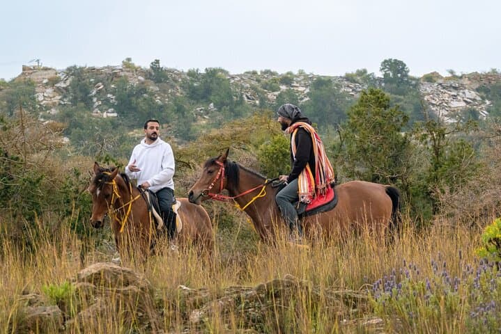 Horseback Riding in Saudi Arabia: Riyadh Red Sands, Jeddah Coast & Al Ula Trails photo 2