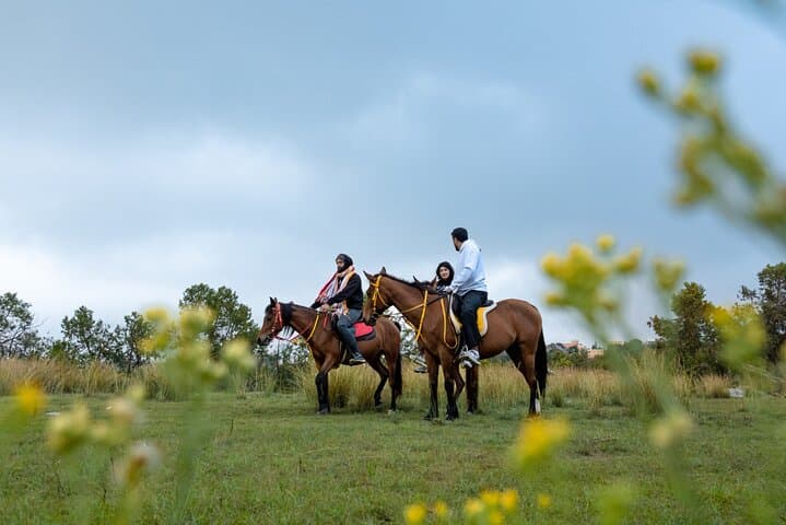 Horseback Riding in Saudi Arabia: Riyadh Red Sands, Jeddah Coast & Al Ula Trails photo 5
