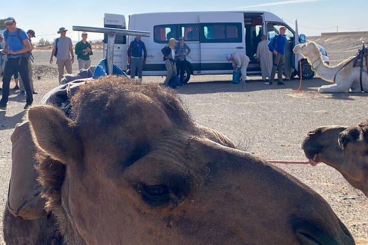 Agafay Desert Day Trip from Marrakech: Sunset Camel Ride & Quad Adventure photo 3