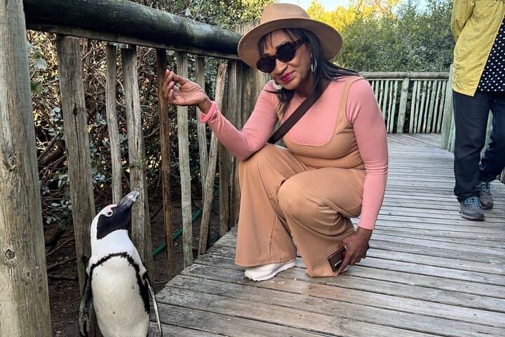 Table Mountain and Boulders Penguins Half-Day Tour — Cape Town Highlights