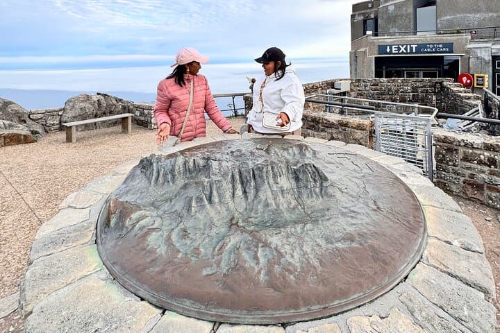 Table Mountain and Boulders Penguins Half-Day Tour — Cape Town Highlights photo 4
