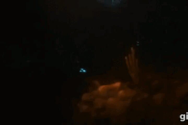 Bonaire Bioluminescent Night Snorkeling: See Ostracods Light Up the Sea photo 2
