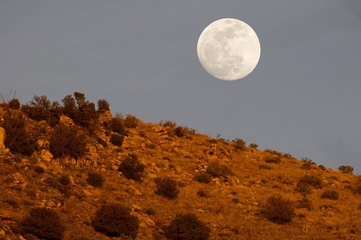 Drive Mt. Lemmon Scenic Byway: Self-Guided Catalina Highway Audio Tour photo 6