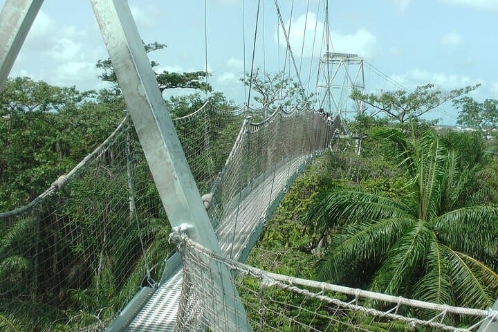 One Day in Lagos: Nike Art, Lekki Canopy Bridge & Beach Choices photo 4