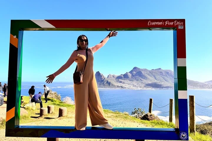 Table Mountain and Boulders Penguins Half-Day Tour — Cape Town Highlights photo 6