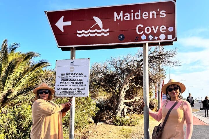 Table Mountain and Boulders Penguins Half-Day Tour — Cape Town Highlights photo 3