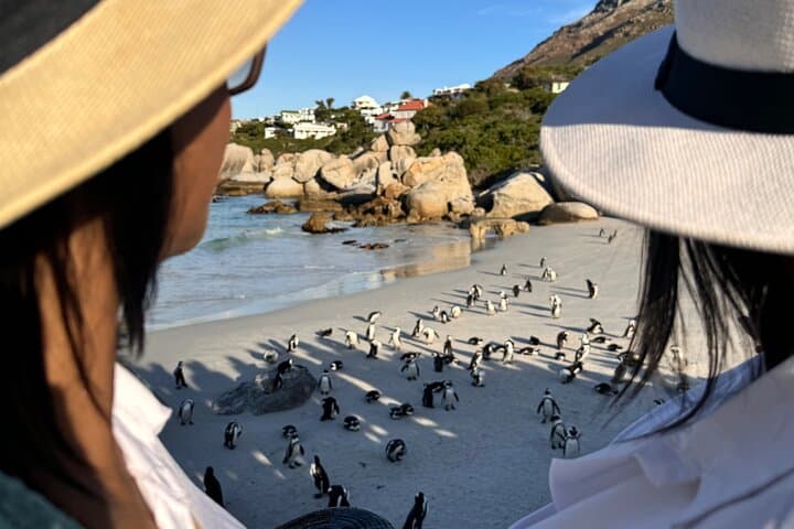 Cape Town Table Mountain and Penguins Private Half-Day Tour — Bo-Kaap, Chapman's Peak & Boulders Beach photo 3