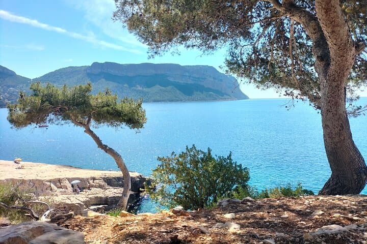 Cassis Calanques Boat Trip & Cap Canaille: Mediterranean Dolce Vita Day Tour