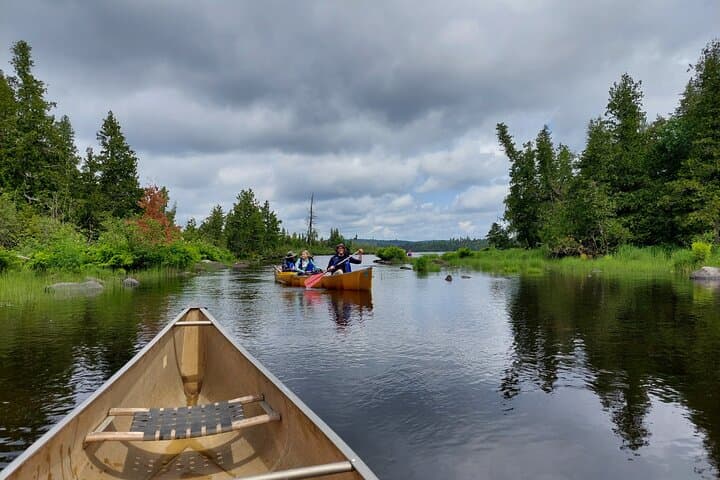 Canoe the Superior National Forest Lakes: Family-Friendly Day Trips from Grand Marais