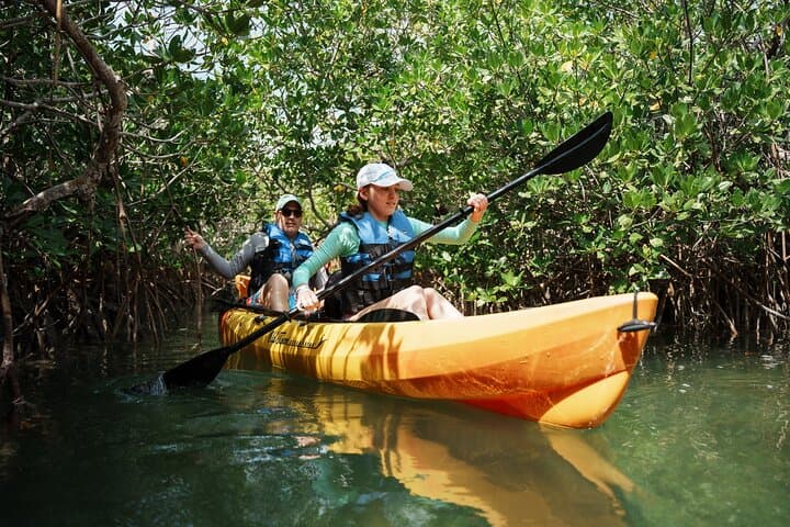 Key West Hidden Sanctuary Kayak Tour — Mud Keys Mangroves & Jewfish Basin Sandbar photo 5