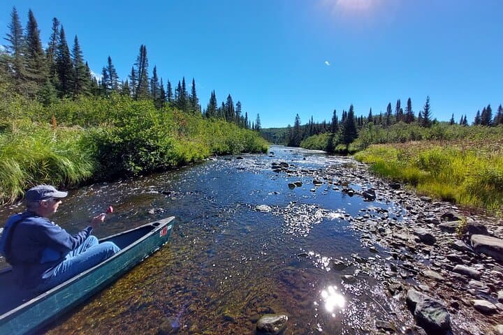 Canoe the Superior National Forest Lakes: Family-Friendly Day Trips from Grand Marais photo 4