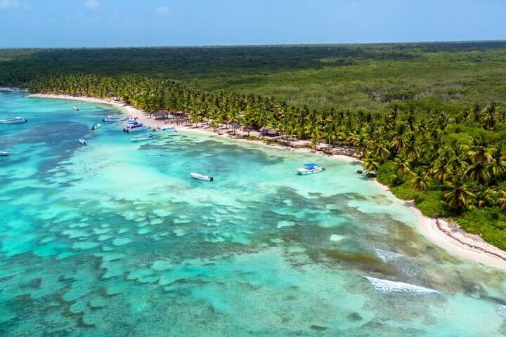 Saona Island Day Trip & Catamaran Party from Punta Cana — Natural Pool, Beach & Open Bar photo 5