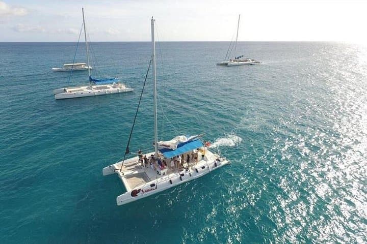 Saona Island Day Trip from Punta Cana — Natural Pool, Beaches & Boat Tour photo 3