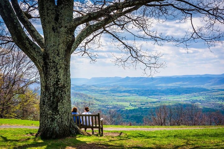 Skyline Drive Self-Guided Audio Tour: Explore Shenandoah National Park by Car photo 6