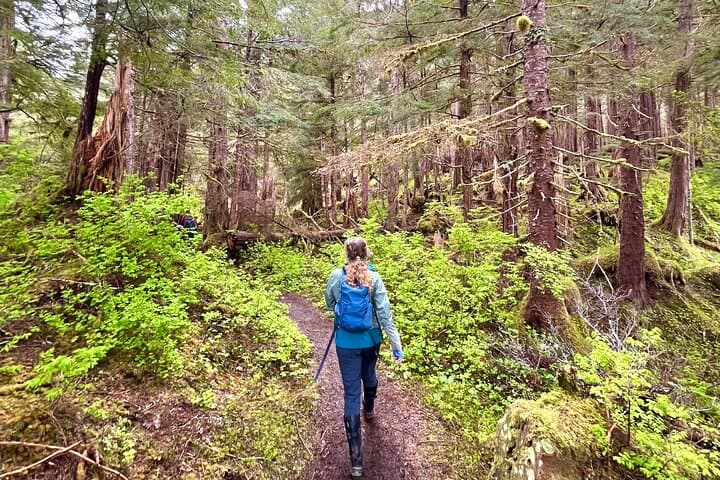 Guided Tongass National Forest Hike from Sitka — Eagles, Salmon & Tlingit Stories photo 3
