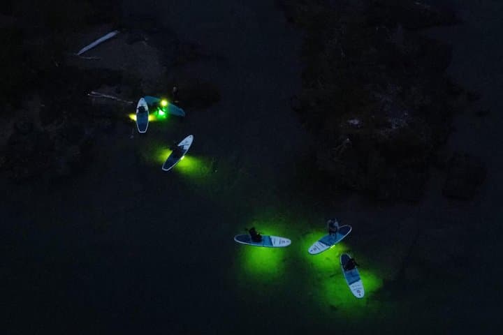 Glow Kayak Night Cruise: Paddle the Gordon Bay Islands at Dusk photo 3